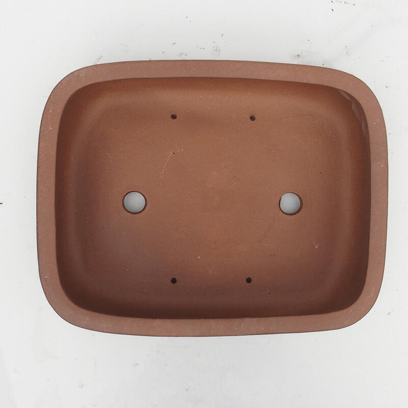 Ciotola bonsai 34 x 27 x 9 cm - Qualità giapponese