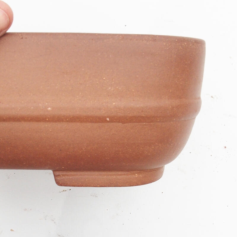 Ciotola bonsai 34 x 27 x 9 cm - Qualità giapponese