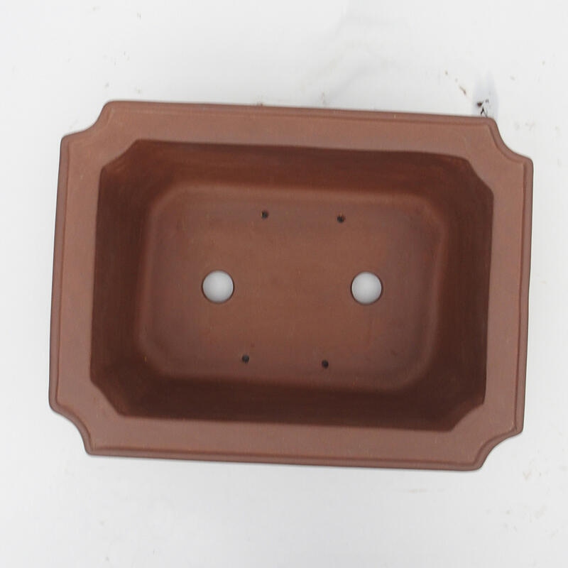 Ciotola bonsai 35 x 26 x 12 cm - Qualità giapponese