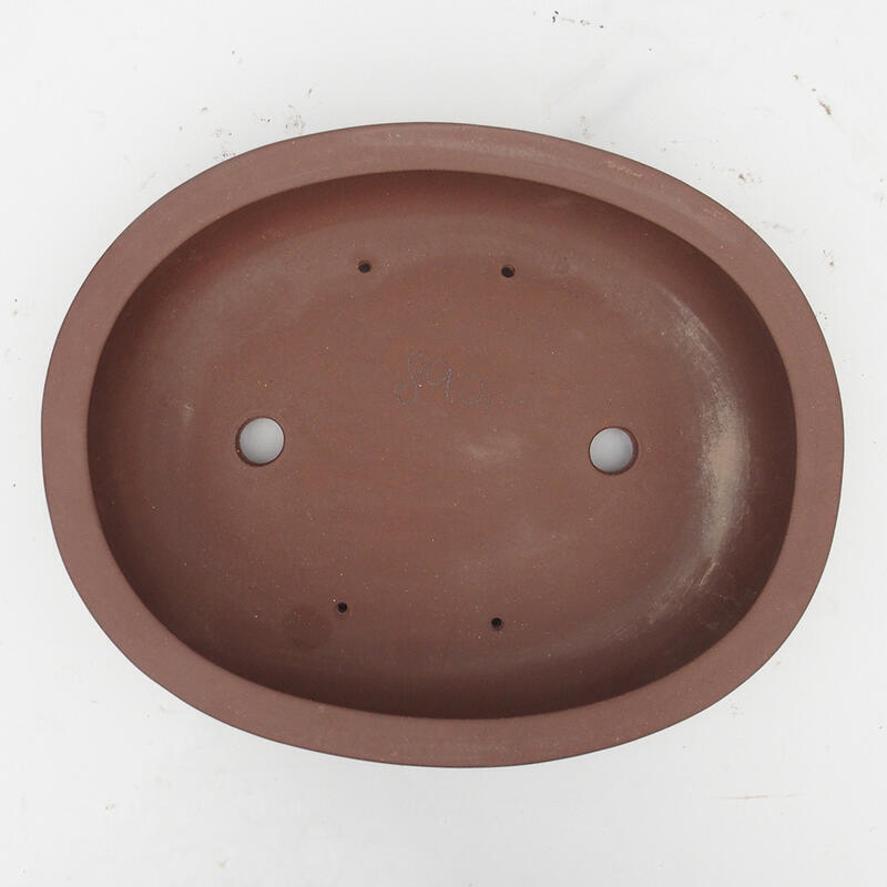 Ciotola bonsai 35 x 28 x 9 cm - Qualità giapponese