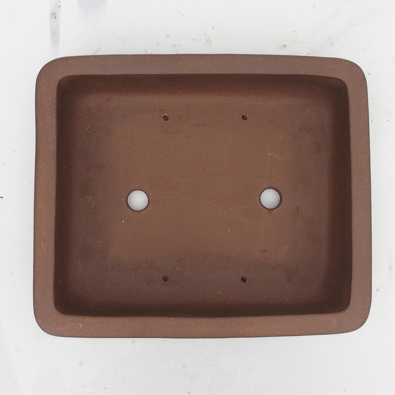 Ciotola bonsai 35 x 29 x 8 cm - Qualità giapponese