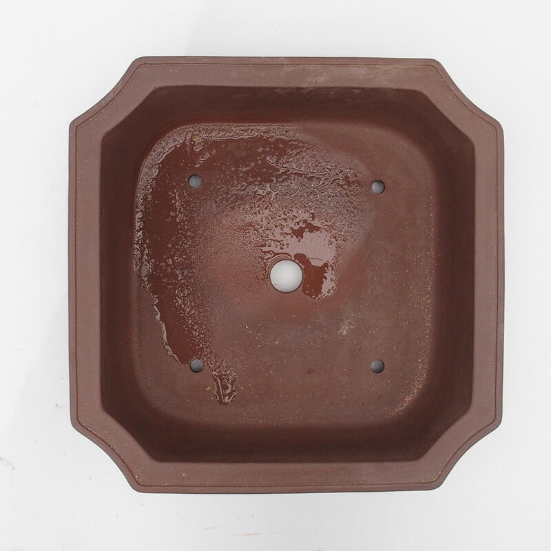 Ciotola per bonsai 35 x 35 x 10 cm - Qualità giapponese