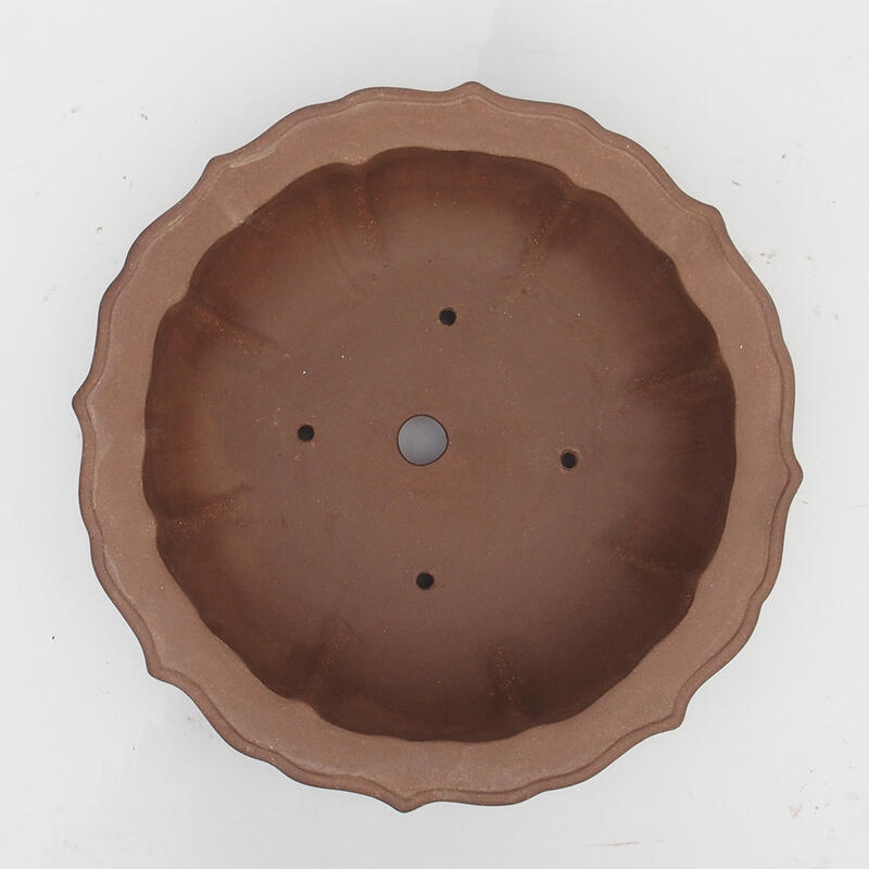 Ciotola bonsai 35 x 35 x 11 cm - Qualità giapponese