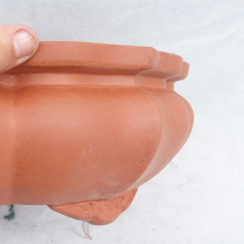 Ciotola bonsai 35 x 35 x 12 cm, colore rustico