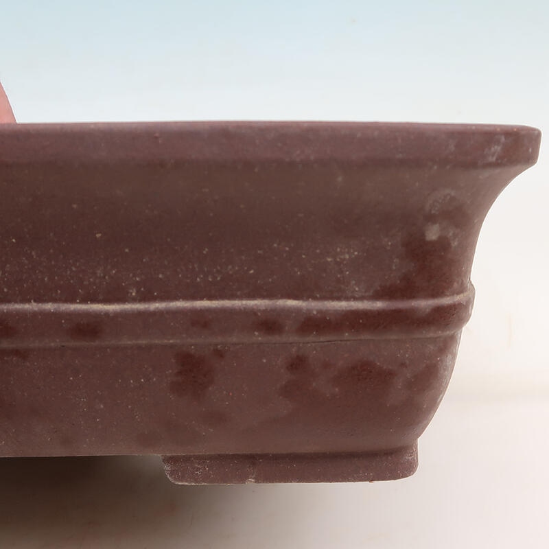 Ciotola per bonsai 36,5 x 30 x 9,5 cm, colore marrone