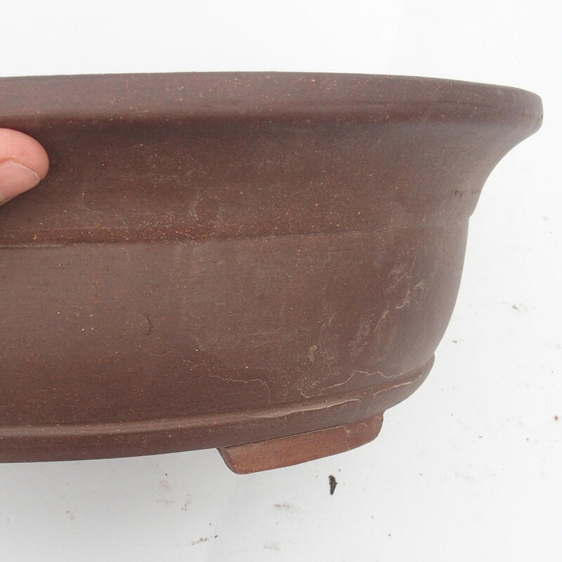 Ciotola per bonsai 36 x 31 x 12 cm - Qualità giapponese