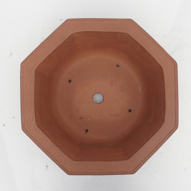 Ciotola bonsai 36 x 34 x 12 cm - Qualità giapponese