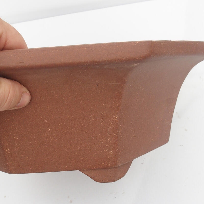 Ciotola bonsai 36 x 34 x 12 cm - Qualità giapponese