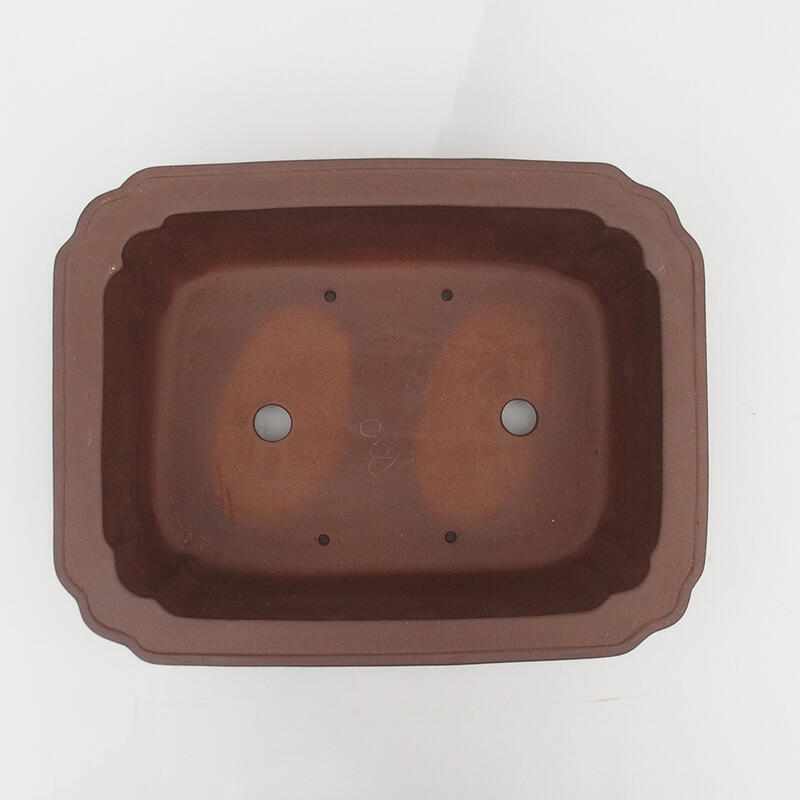 Ciotola bonsai 37 x 28,5 x 12,5 cm - Qualità giapponese