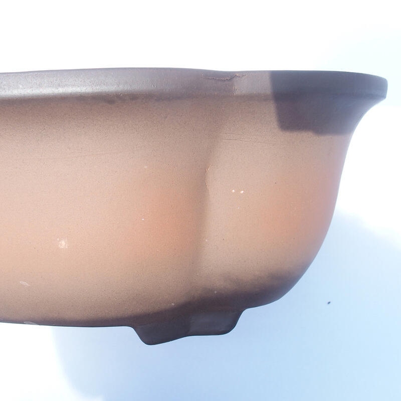 Ciotola bonsai 37 x 29 x 13 cm