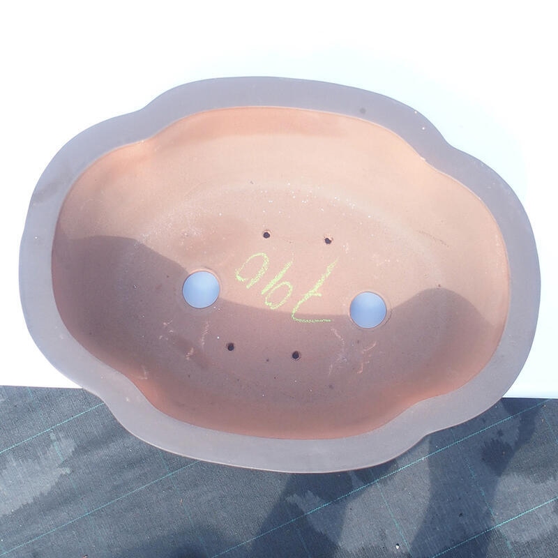 Ciotola bonsai 37 x 29 x 13 cm