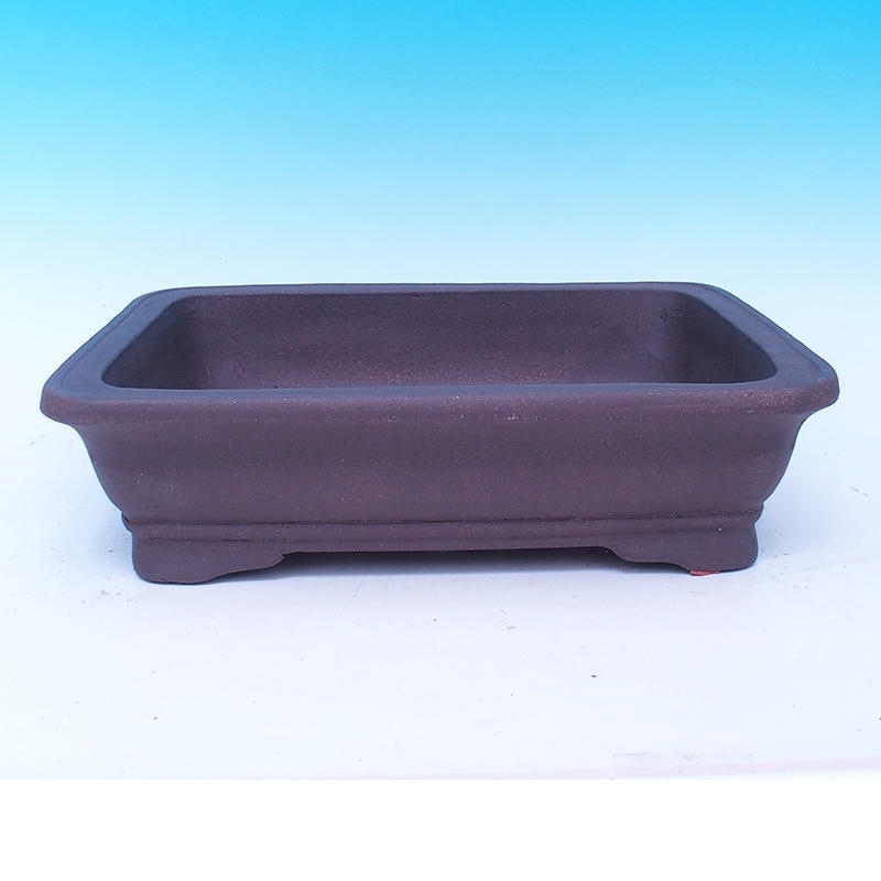 Ciotola bonsai 37 x 30 x 10 cm