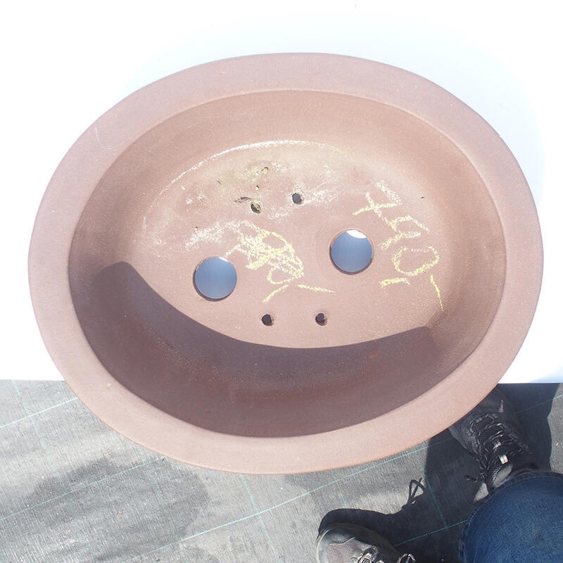 Ciotola bonsai 37 x 30 x 10 cm