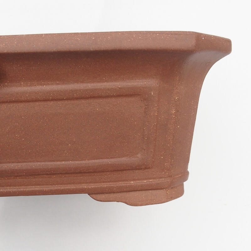 Ciotola bonsai 37 x 31 x 12 cm - Qualità giapponese