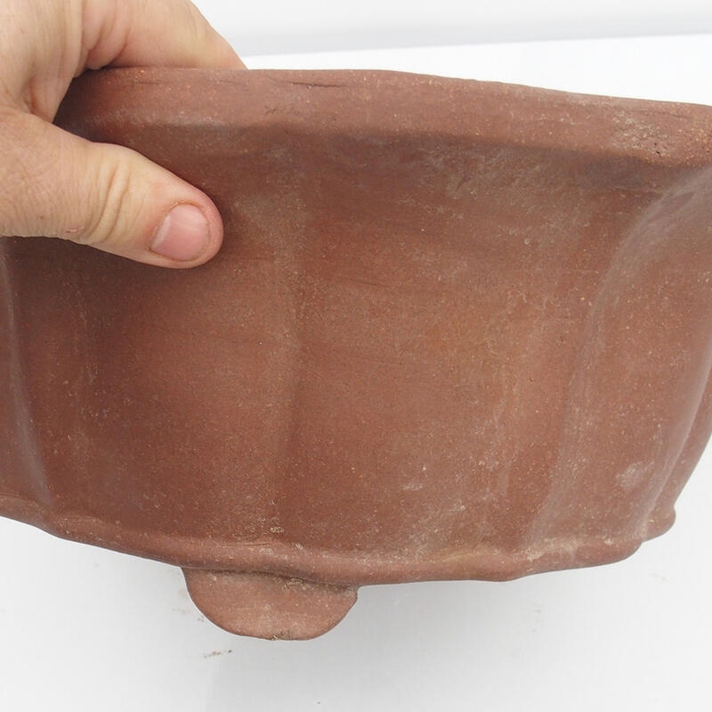 Ciotola bonsai 37 x 37 x 11 cm - Qualità giapponese