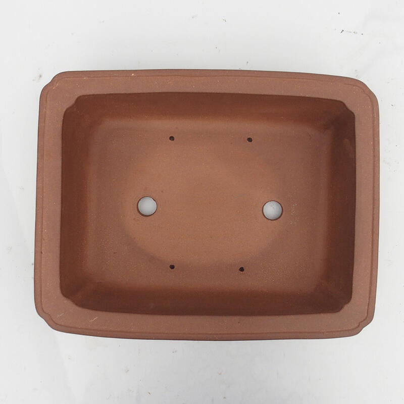 Ciotola bonsai 38 x 30 x 11 cm - Qualità giapponese