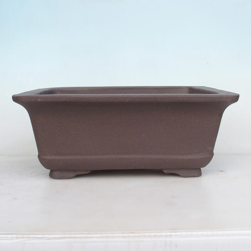 Ciotola bonsai 38 x 30 x 19 cm, colore naturale