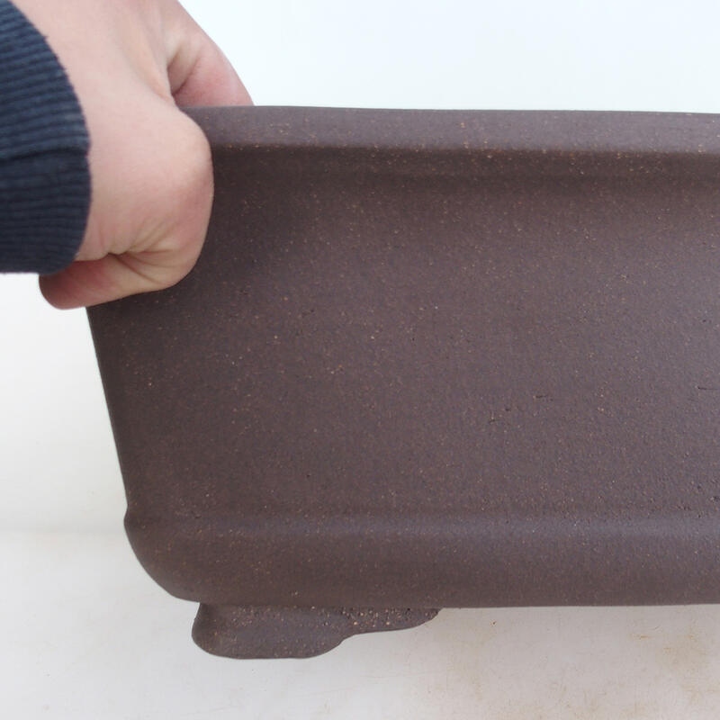 Ciotola bonsai 38 x 30 x 19 cm, colore naturale