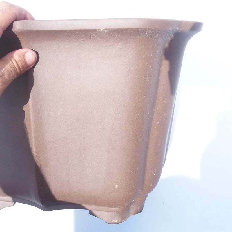 Ciotola bonsai 38 x 31 x 27 cm