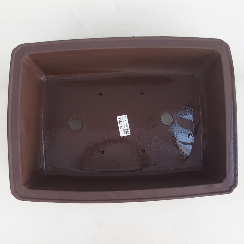 Ciotola bonsai 39 x 28 x 11 cm, marrone