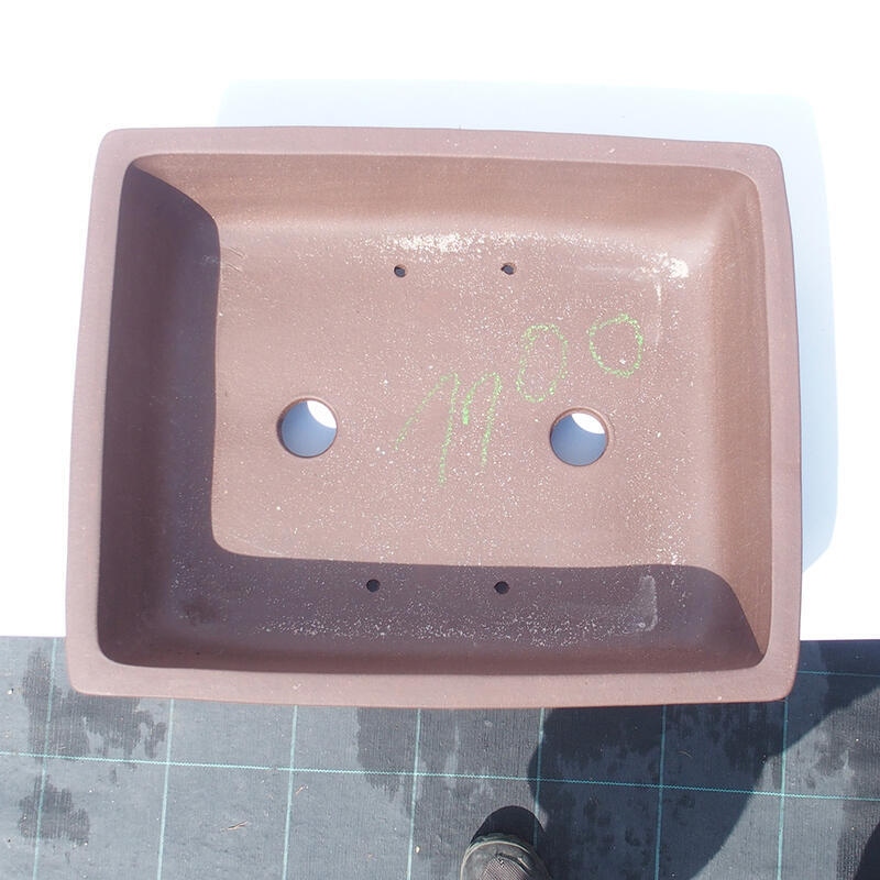 Ciotola bonsai 39 x 31 x 11 cm