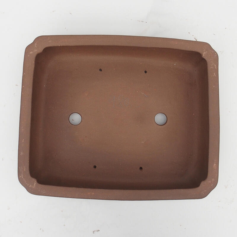 Ciotola bonsai 39 x 33 x 11 cm - Qualità giapponese