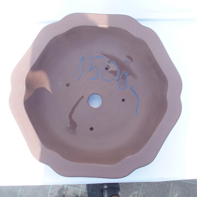 Ciotola bonsai 39 x 37 x 10 cm