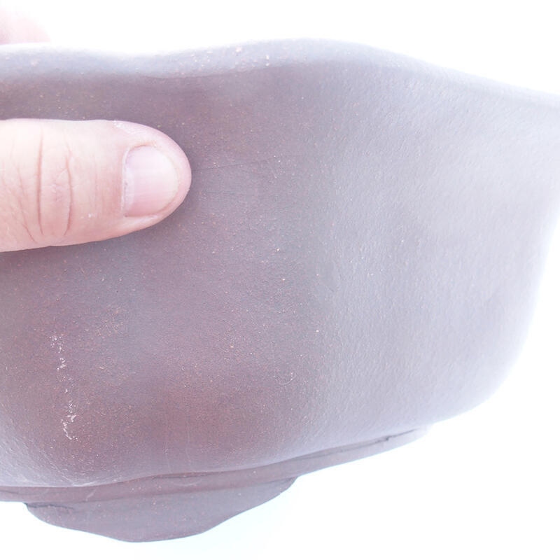 Ciotola bonsai 39 x 37 x 10 cm