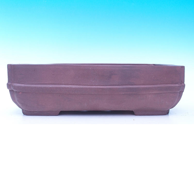 Ciotola bonsai 40 x 29 x 12 cm