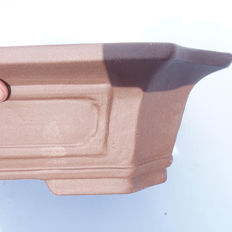 Ciotola bonsai 40 x 31 x 11 cm