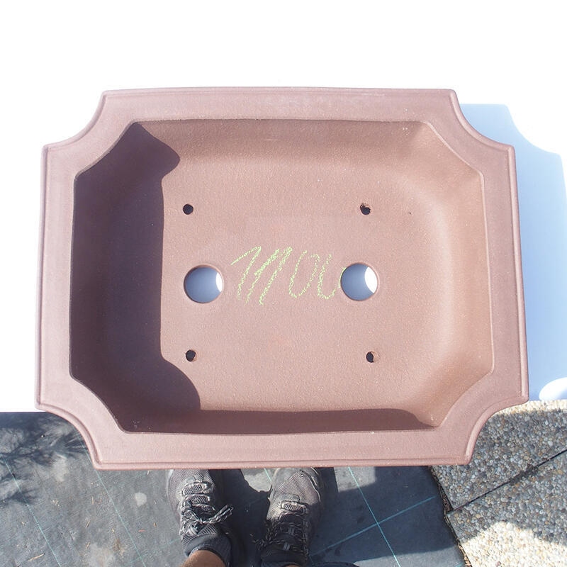 Ciotola bonsai 40 x 31 x 9,5 cm