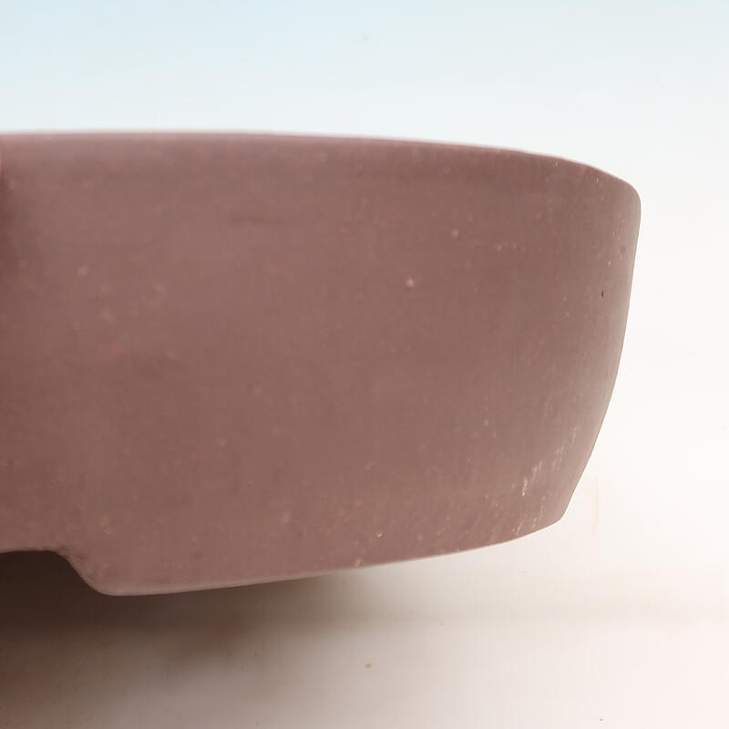 Ciotola per bonsai 40 x 32 x 8 cm, marrone