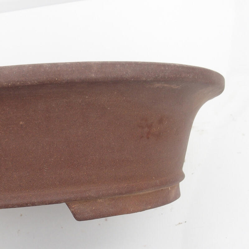 Ciotola bonsai 40 x 33 x 10 cm - Qualità giapponese