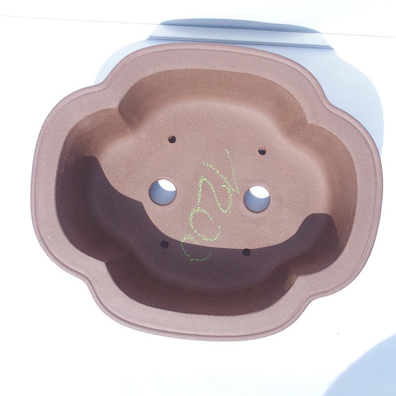 Ciotola bonsai 40 x 34 x 12,5 cm