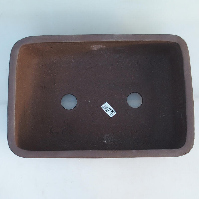 Ciotola per bonsai 41,5 x 28 x 14 cm, colore marrone - solo trasporto in pallet