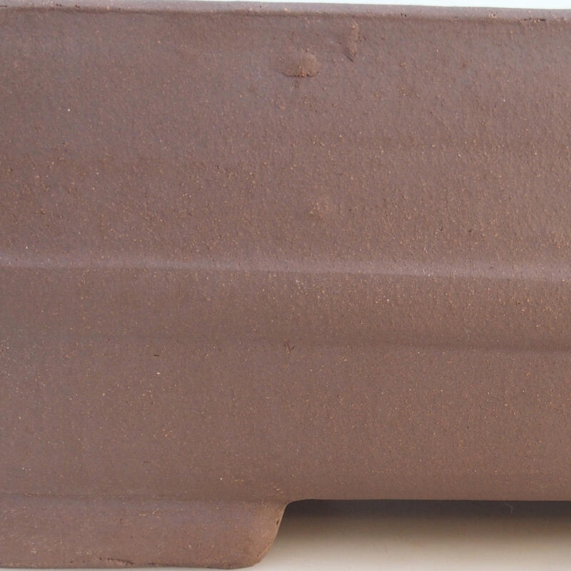 Ciotola per bonsai 41,5 x 28 x 14 cm, colore marrone - solo trasporto in pallet