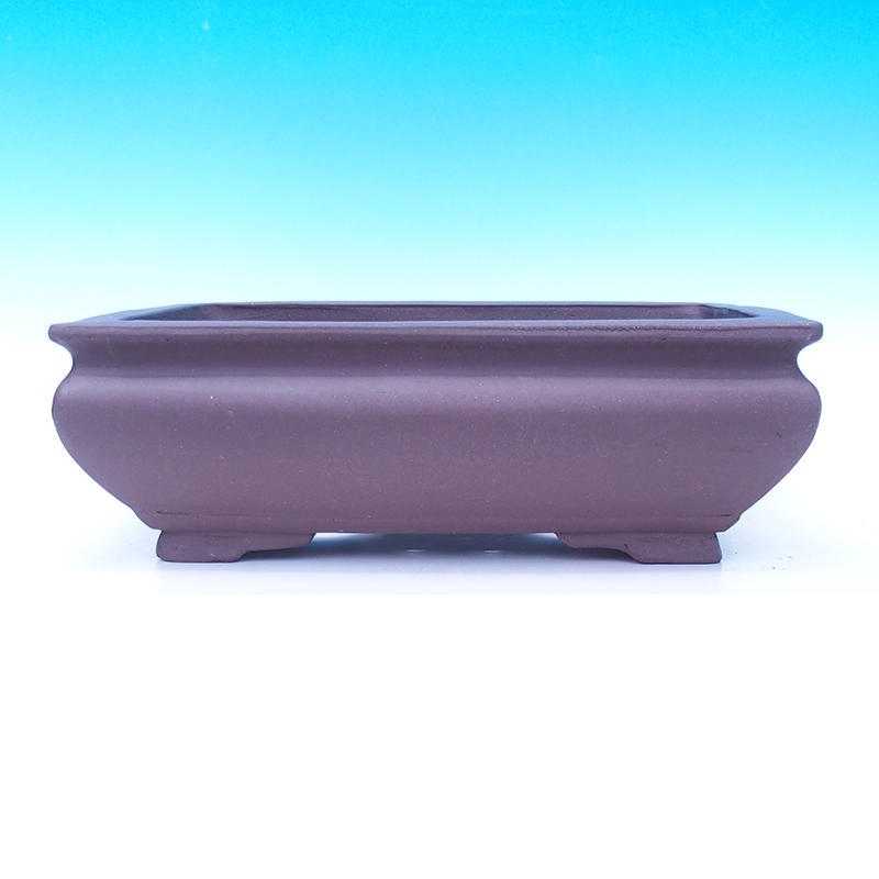 Ciotola bonsai 41 x 28 x 13 cm