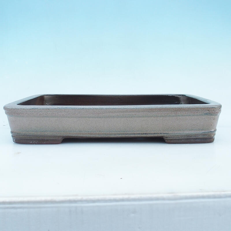 Vaso per bonsai 41 x 28 x 7 cm, colore beige