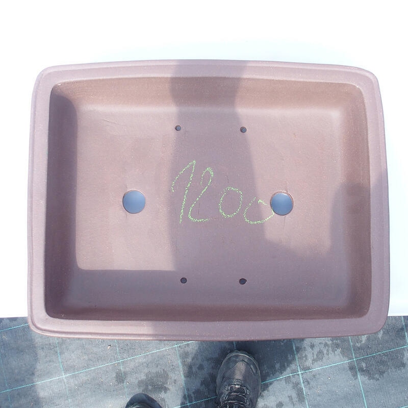 Ciotola bonsai 41 x 32 x 10 cm