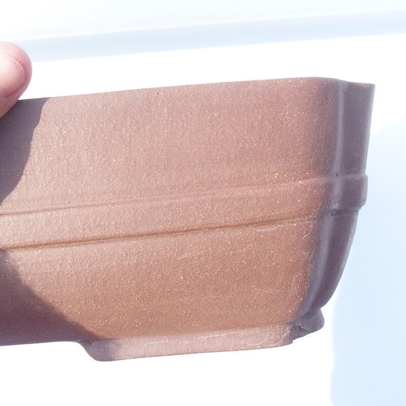 Ciotola bonsai 41 x 32 x 11 cm