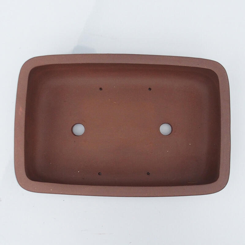 Ciotola bonsai 42 x 28 x 11,5 cm - Qualità giapponese