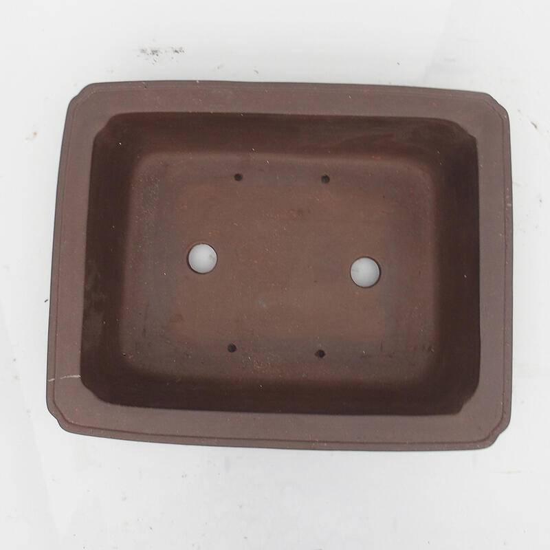 Ciotola bonsai 42 x 33 x 10 cm - Qualità giapponese