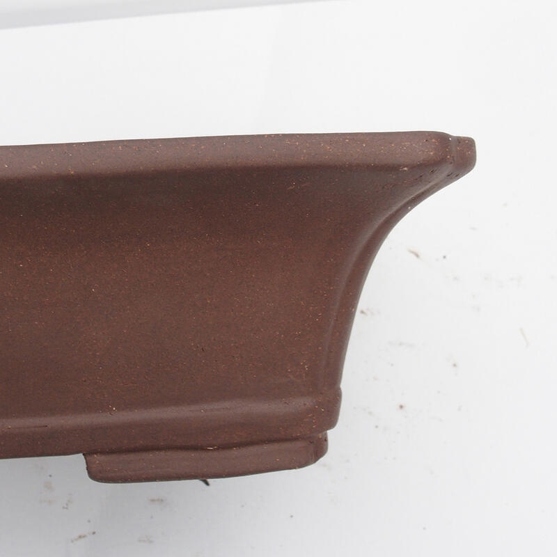 Ciotola bonsai 42 x 33 x 10 cm - Qualità giapponese