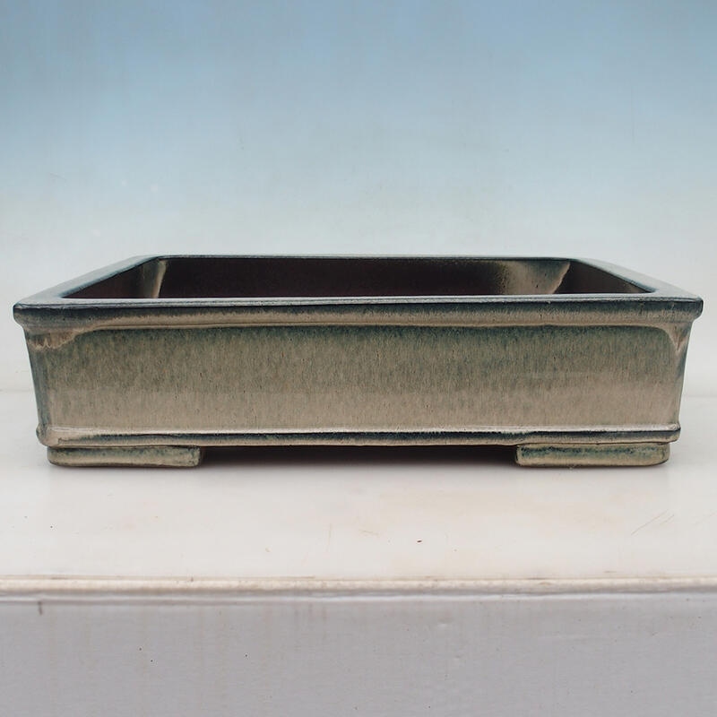 Ciotola per bonsai 42 x 33 x 11 cm, colore blu-beige - solo trasporto su pallet