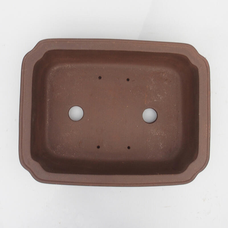 Ciotola bonsai 43 x 32 x 11 cm - Qualità giapponese