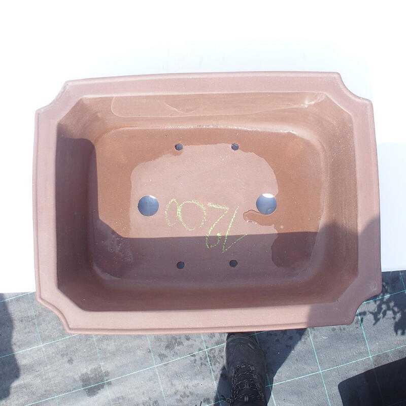 Ciotola bonsai 43 x 32 x 13 cm