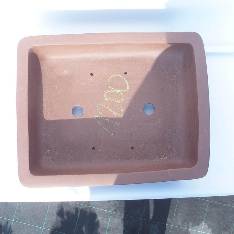 Ciotola bonsai 43,5 x 35,5 x 11,5 cm