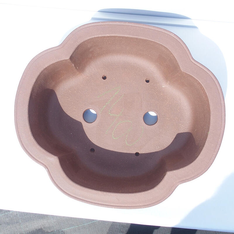 Ciotola bonsai 44 x 39 x 14 cm