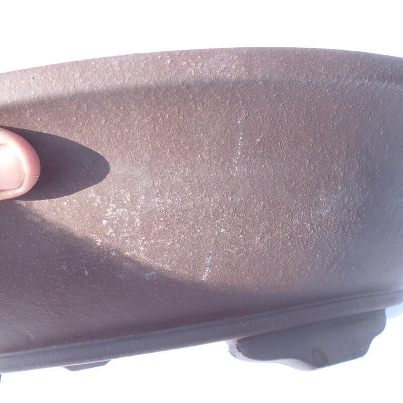 Ciotola bonsai 44 x 44 x 11 cm