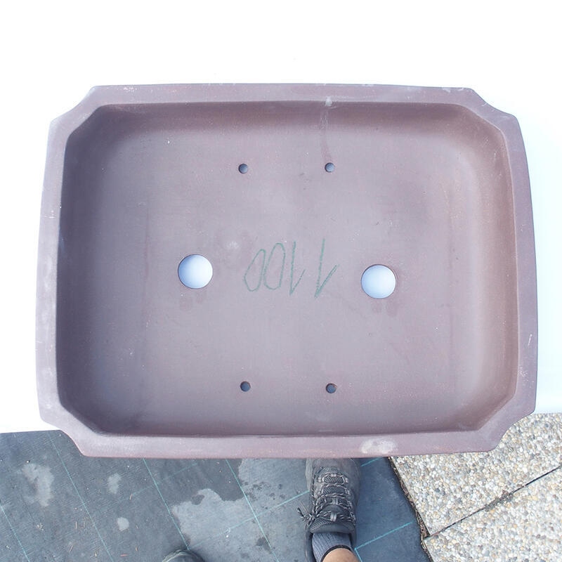 Ciotola bonsai 45 x 34 x 10 cm